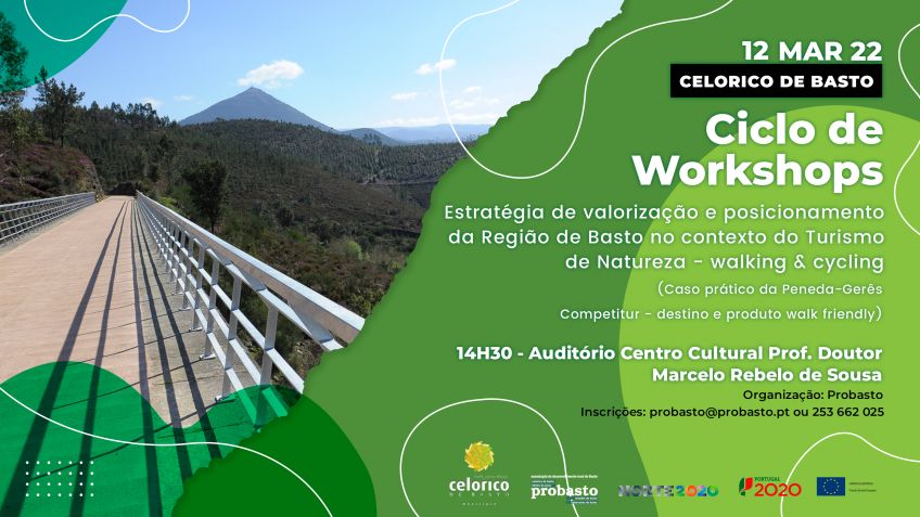 Estratégia de valorização e posicionamento da Região de Basto no contexto do Turismo de Natureza - walking & cycling