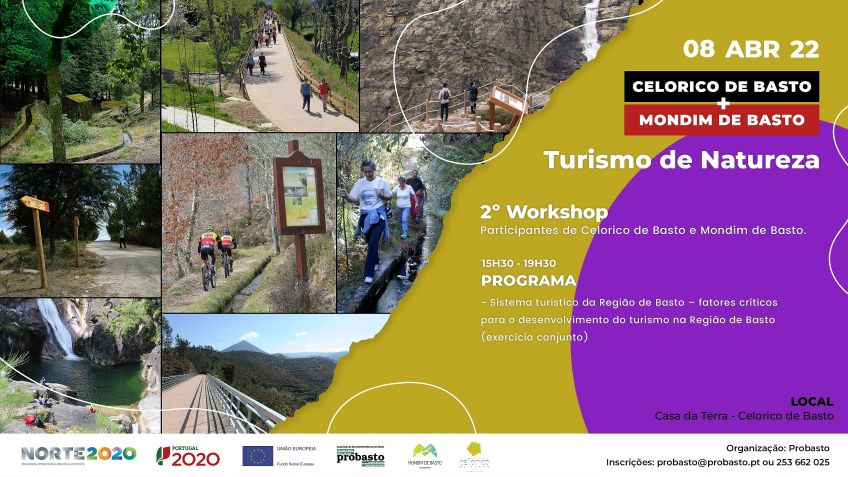 Estratégia de valorização e posicionamento da Região de Basto no contexto do Turismo de Natureza - walking & cycling