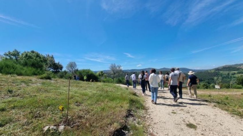 Estratégia de valorização e posicionamento da Região de Basto no contexto do Turismo de Natureza - walking & cycling